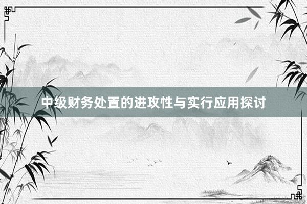 中级财务处置的进攻性与实行应用探讨