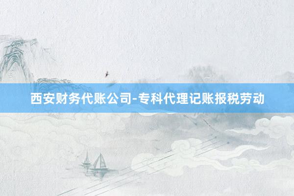 西安财务代账公司-专科代理记账报税劳动
