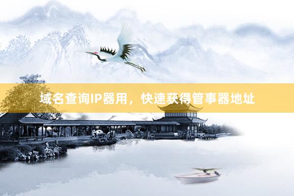 域名查询IP器用，快速获得管事器地址