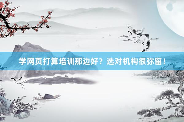 学网页打算培训那边好？选对机构很弥留！