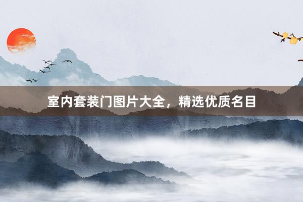 室内套装门图片大全，精选优质名目