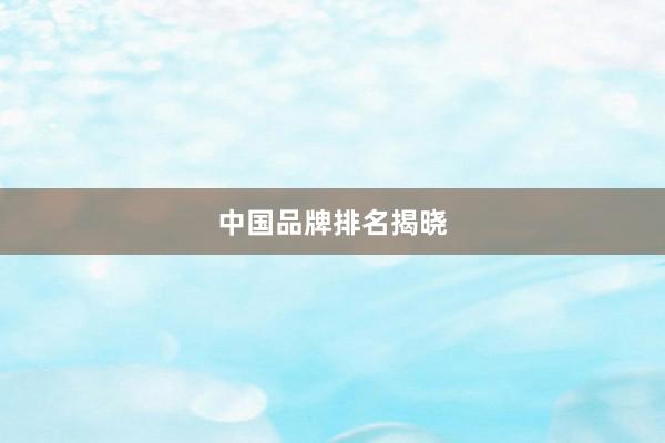 中国品牌排名揭晓