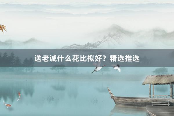 送老诚什么花比拟好？精选推选