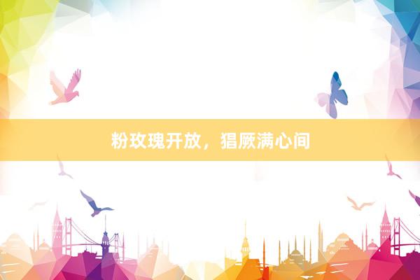 粉玫瑰开放，猖厥满心间