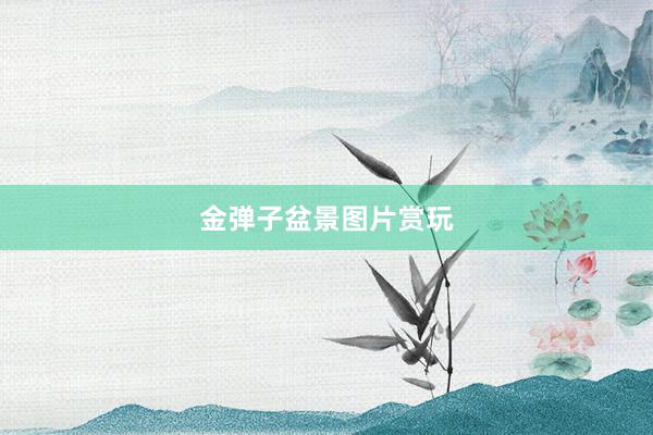 金弹子盆景图片赏玩