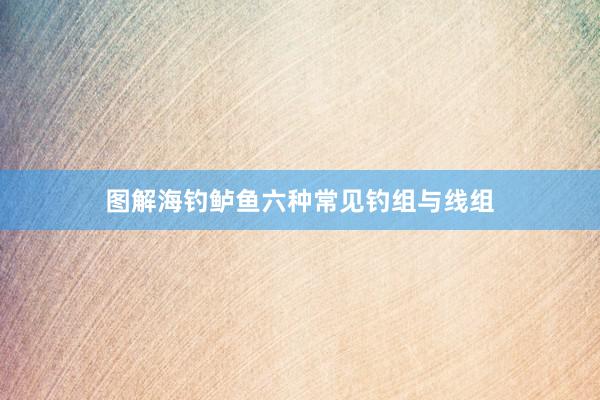 图解海钓鲈鱼六种常见钓组与线组