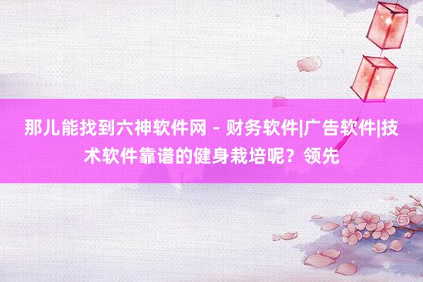 那儿能找到六神软件网 - 财务软件|广告软件|技术软件靠谱的健身栽培呢？领先